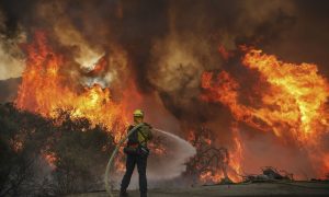 Incêndios na Califórnia devastam mais de 800 mil hectares