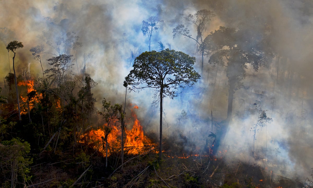 Imagem mostra fumaça de incêndio ilegal na Amazônia. Foto: CARL DE SOUZA/AFP Imagem mostra fumaça de incêndio ilegal na Amazônia. (Foto: CARL DE SOUZA/AFP)