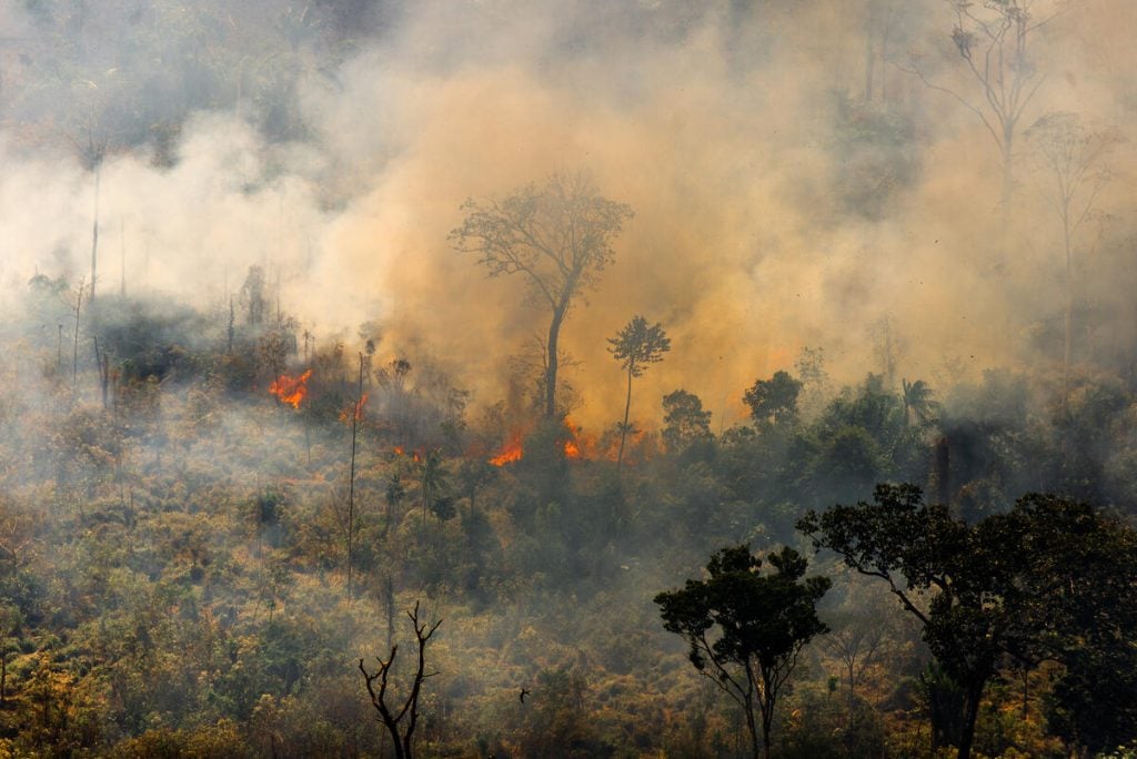 Fogo, grileiros e gado ameaçam terra de indígenas isolados que liderou desmatamento