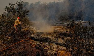 Pantanal tem pior outubro de focos de queimada da história, diz Inpe