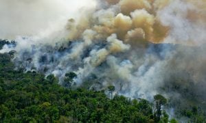 Queimadas na Amazônia batem novo recorde e ficam atrás apenas de agosto de 2019