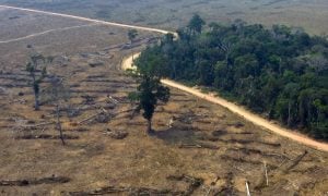 BNDES amplia restrições e vai negar crédito a clientes ligados a desmatamento ilegal