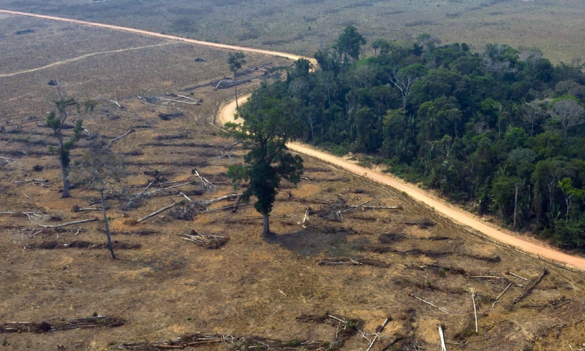 Parte da floresta amazônica desmatada (Foto: CARLOS FABAL / AFP) 