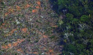 “Monitoramento da Amazônia corre risco real sob Bolsonaro”, diz ex-INPE