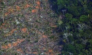 “Monitoramento da Amazônia corre risco real sob Bolsonaro”, diz ex-INPE