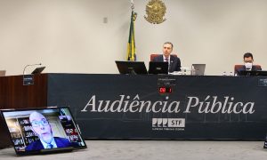 Cientistas criticam situação ambiental brasileira em audiência no STF