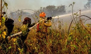 Focos de queimada em parque de onças-pintadas no Pantanal persistem