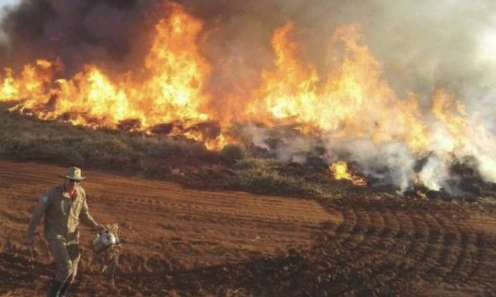 Abaixo-assinado cobra ação dos governos sobre incêndios no Pantanal