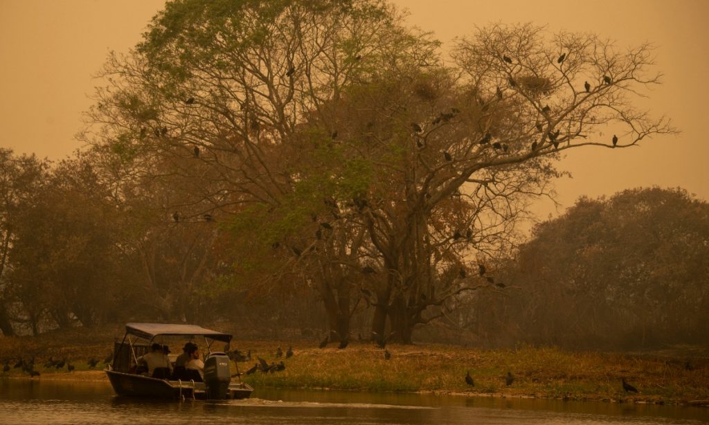 Governo terá 15 dias para mobilizar forças contra incêndios no Pantanal e na Amazônia, decide Dino