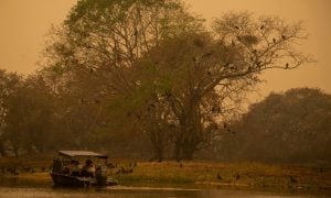 PF faz operação contra suspeitos de terem colocado fogo no Pantanal