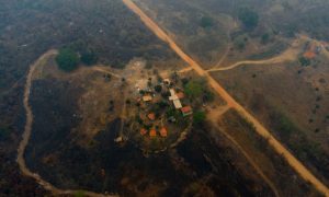 Pantanal registra maiores queimadas para setembro na história, mostra INPE