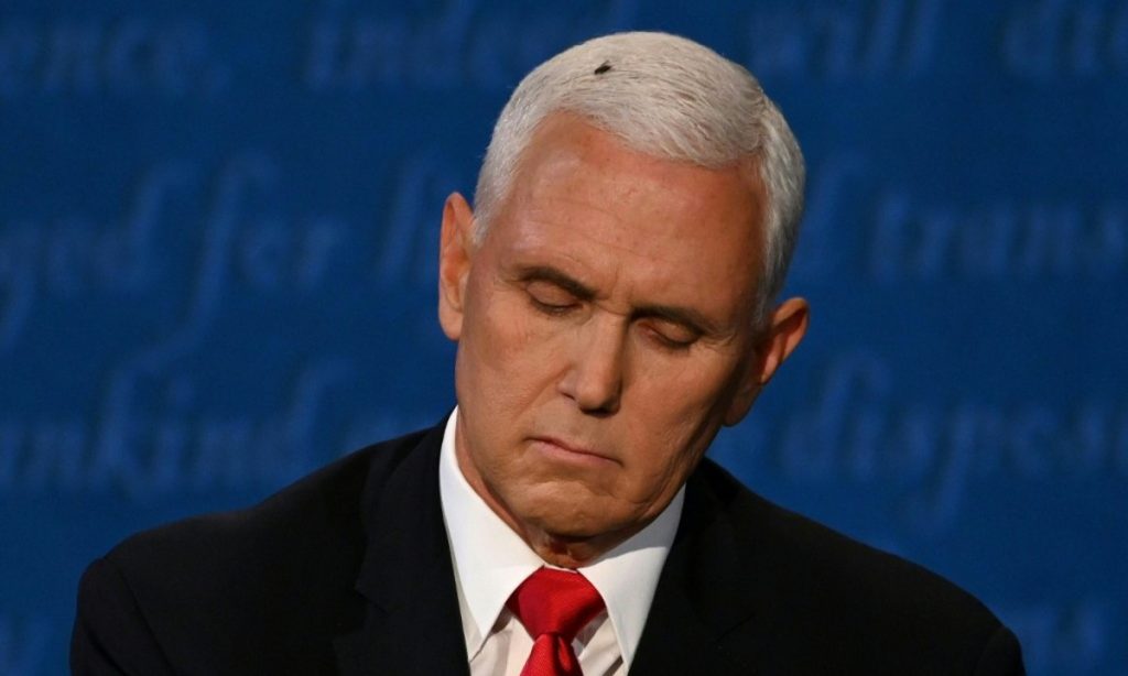 Mosca na cabeça de Pence rouba cena durante debate nos EUA
