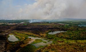 96% dos focos de incêndio no Pantanal estão extintos ou controlados, anuncia governo federal