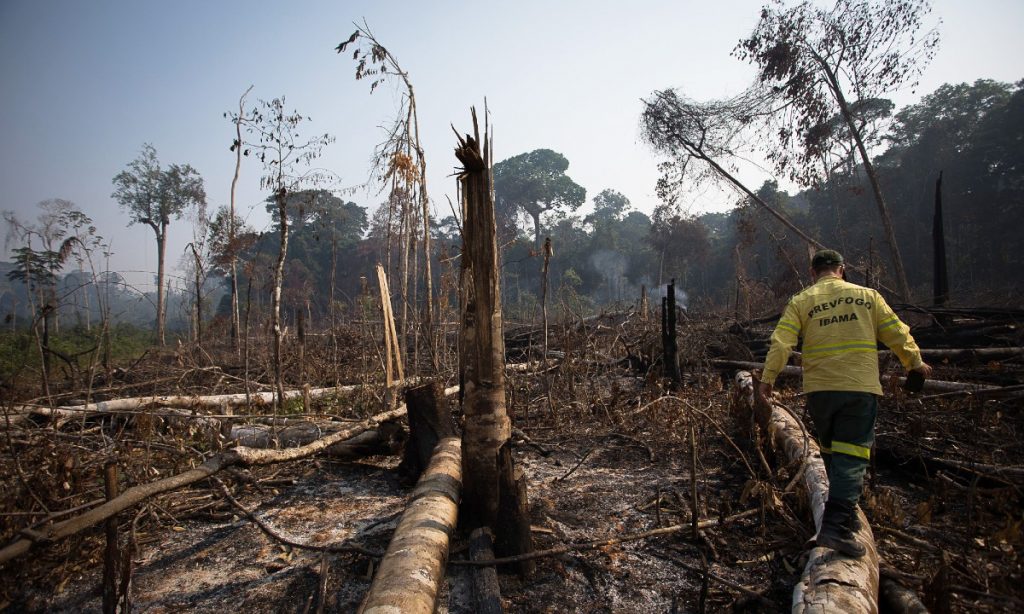 Pesos pesados entram em ação para defender Amazônia e democracia