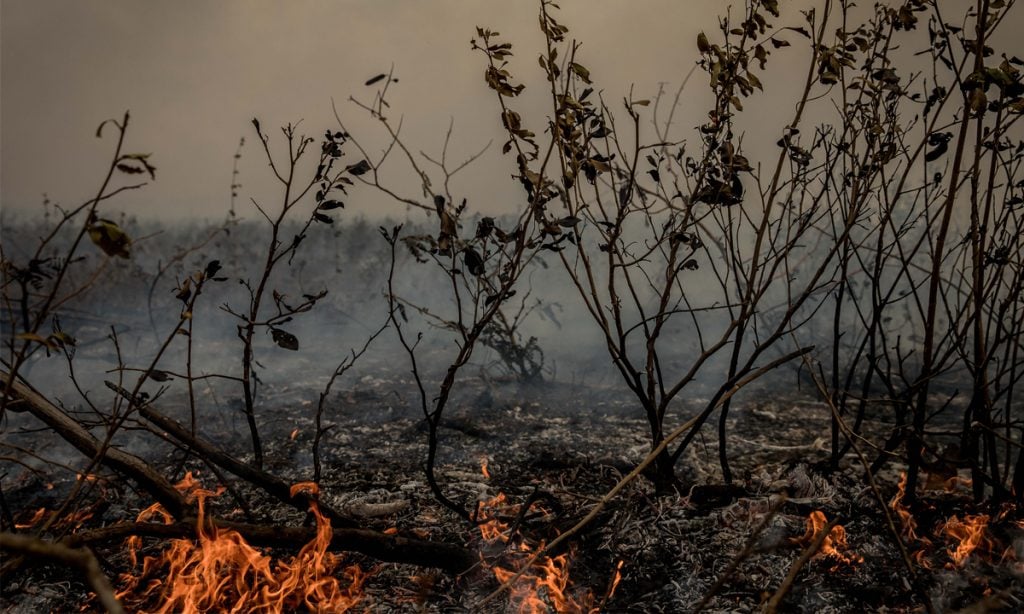 Bolívia pede ajuda ao Brasil para combater incêndios florestais na fronteira com o MS