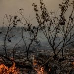 Gaia, ano 6.500 d.P.: a destruição como ‘criação’