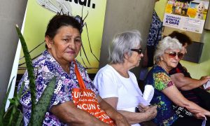 Senado aprova projeto que institui canal contra maus-tratos a idosos