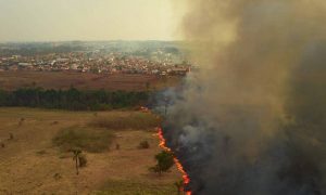 Brasil queimou 21,8% do seu território entre 1985 e 2022