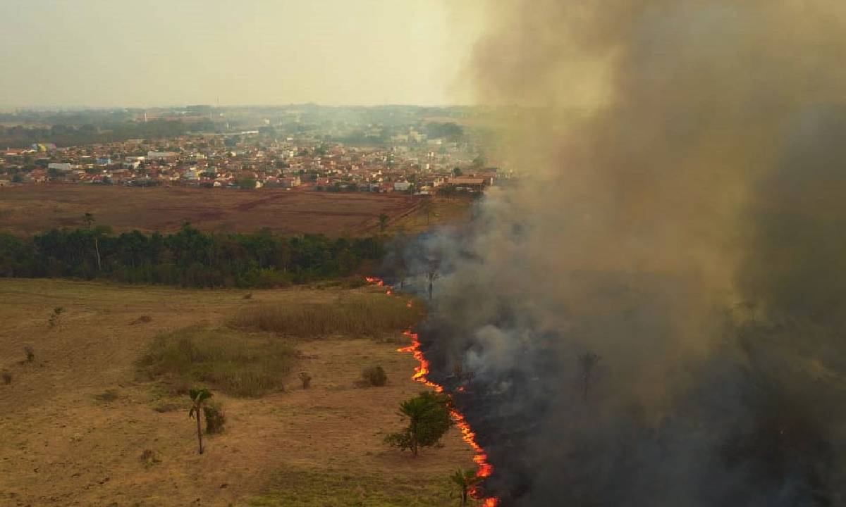 Brasil queimou 21,8% do seu território entre 1985 e 2022
