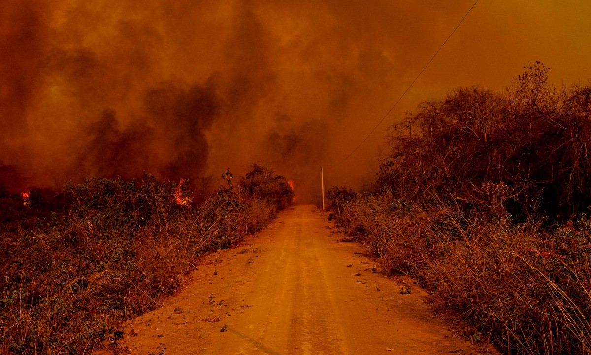 Incêndio no Pantanal. (Foto: Mayke Toscano/Secom-MT) 