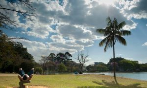 Morar perto de áreas verdes rejuvenesce 2,5 anos, aponta estudo