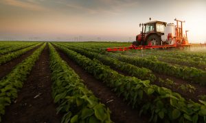 De quem a agropecuária sempre precisará