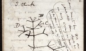Universidade de Cambridge anuncia roubo de cadernos de Darwin após 20 anos de buscas