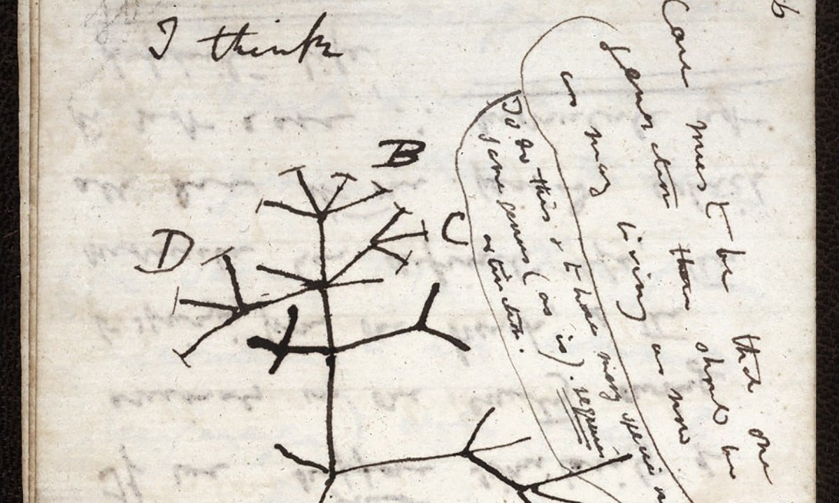 Universidade de Cambridge anuncia roubo de cadernos de Darwin após 20 anos de buscas