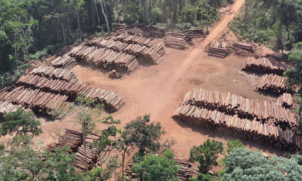 PF apreende 43,7 mil toras de madeira ilegal no Pará