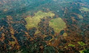 Amazônia tem abril com maior desmatamento dos últimos 5 anos