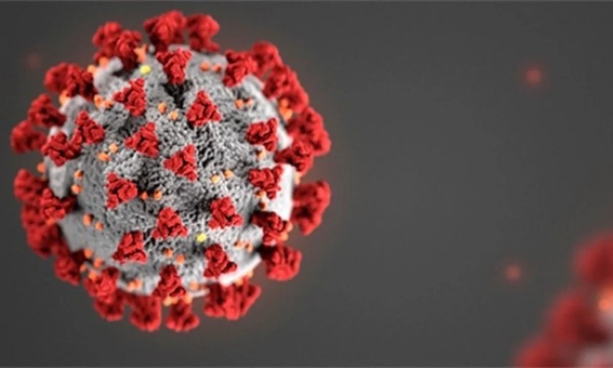 IMAGEM MICROSCÓPICA DO SARS-COV-2, O NOVO CORONAVÍRUS - FOTO: CDC 