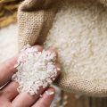 Governo publica MP que autoriza importação de arroz após enchentes no RS