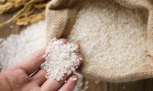 Governo publica MP que autoriza importação de arroz após enchentes no RS