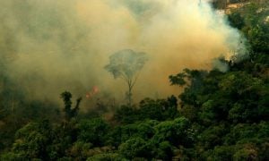 Queimadas e desmatamento na Amazônia puxam aumento das emissões brasileiras