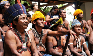 MPF aponta ‘risco muito grave’ de Mundurukus ameaçados por garimpeiros