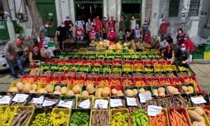 O povo precisa comer frutas, legumes e verduras. Duas políticas existentes podem ajudar