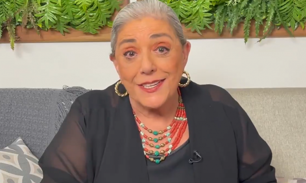 Leda Nagle exclui vídeos com conteúdo negacionista de seu canal