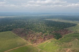 Deputados que aprovaram redução de áreas protegidas em Rondônia foram financiados pelo agro