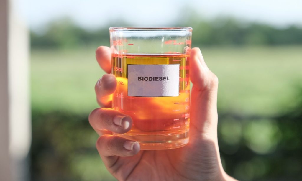O mercado do biodiesel no cenário de transição energética