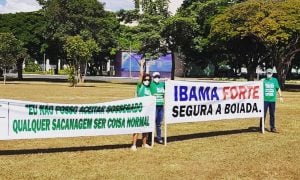 Manifestantes protestam em Brasília contra 'boiada' de Salles