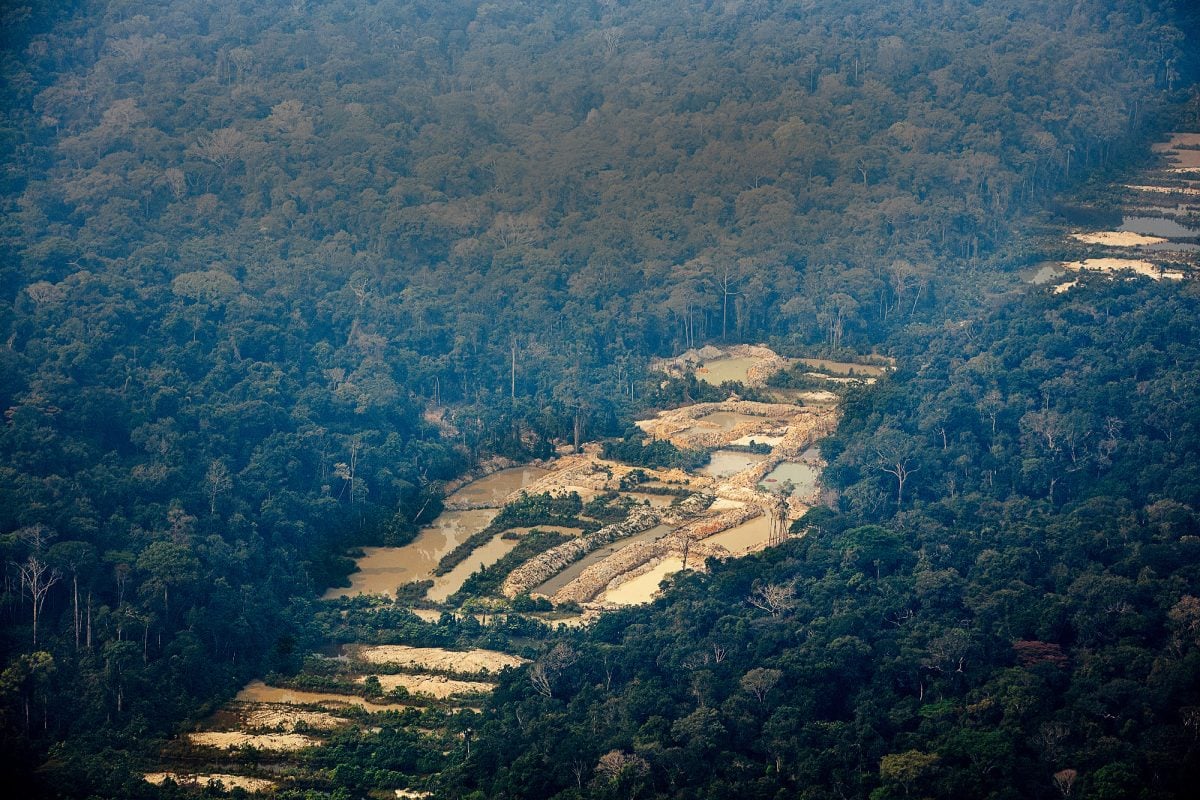 Agenda verde