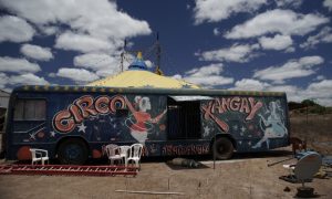 Site reúne rico material sobre circo, duramente atingido pela pandemia