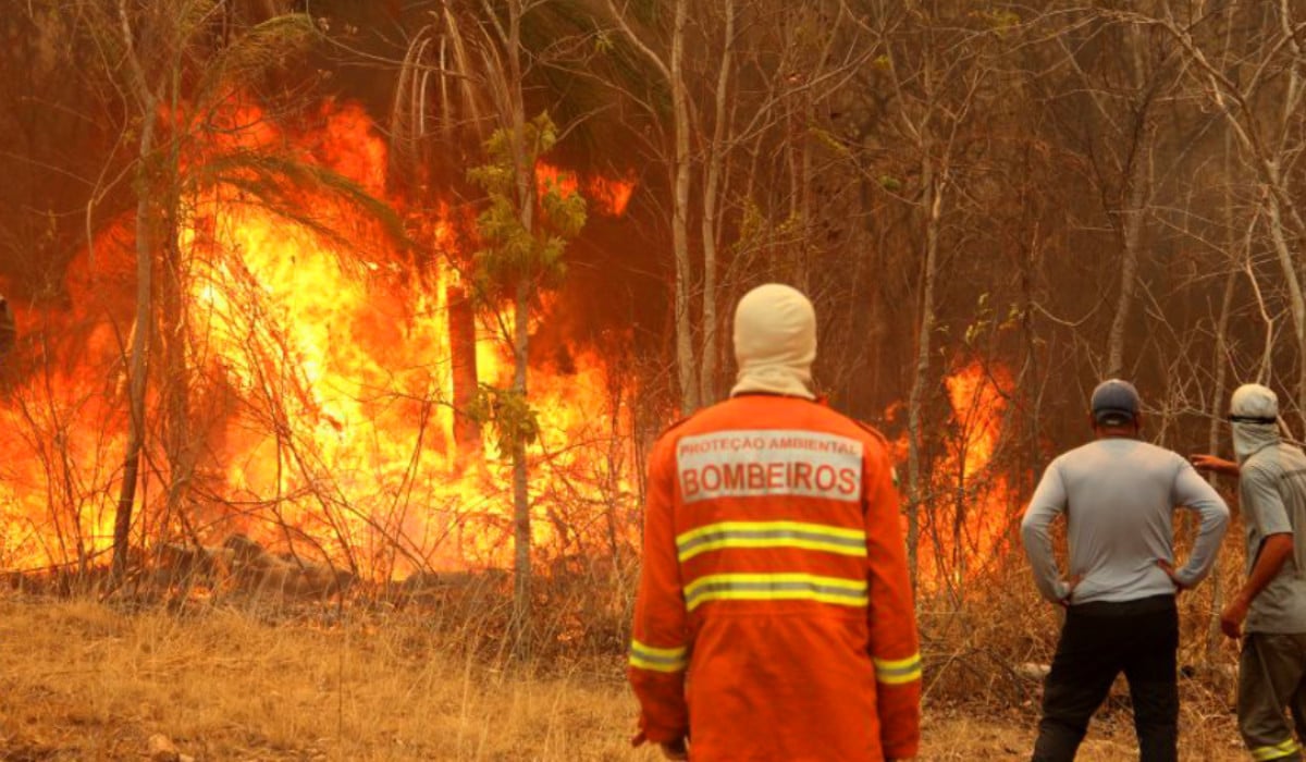 Governo federal vai liberar R$ 100 milhões para combate a incêndios no Pantanal