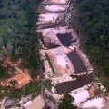 Amazônia legal tem o maior desmatamento em 15 anos, aponta Imazon