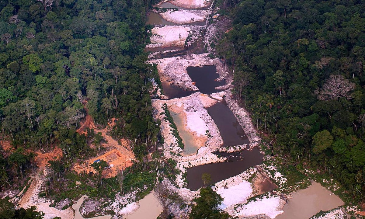 Desmatamento da Amazônia brasileira. Foto: Marizilda Cruppe/Amazon Watch/Amazônia Real 