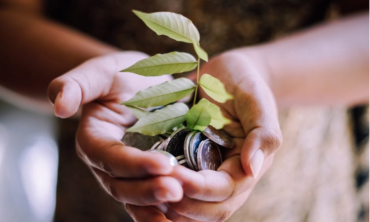 Os bancos centrais e a agenda da sustentabilidade