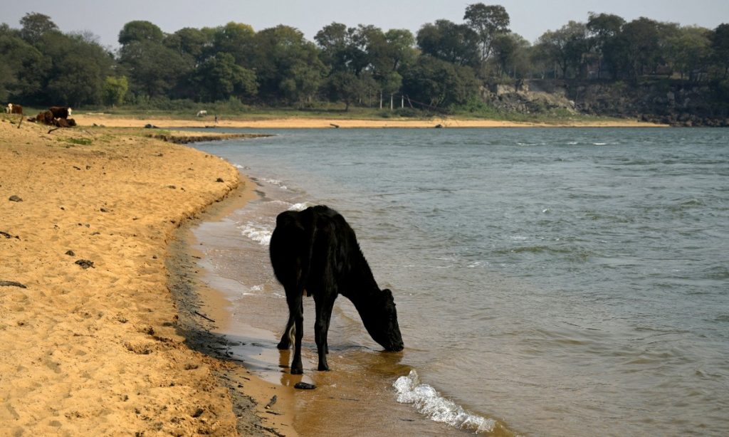 Seca histórica do rio Paraná: ciclo natural, ou mudança climática?