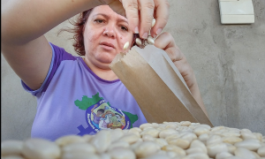 Michela Calaça: ‘O PNAE compra a comida da camponesa e dá de comer para a família dela ao mesmo tempo’