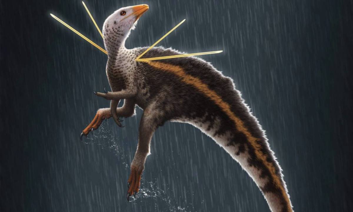 A espécie é datada em cerca de 110 milhões de anos (Foto: Ilustração de Bob Nicholls/Paleocreations.com 2020) 