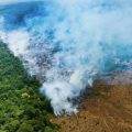 Cerrado e Amazônia têm aumento de queimadas entre os primeiros semestres de 2022 e 2021